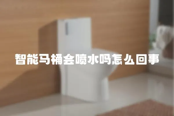 智能馬桶會噴水嗎怎么回事