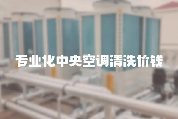 專業(yè)化中央空調(diào)清洗價錢