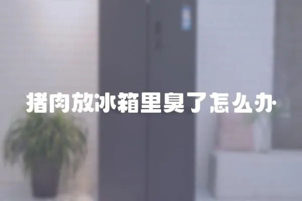 豬肉放冰箱里臭了怎么辦