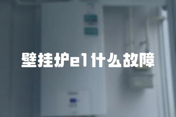 壁掛爐e1什么故障