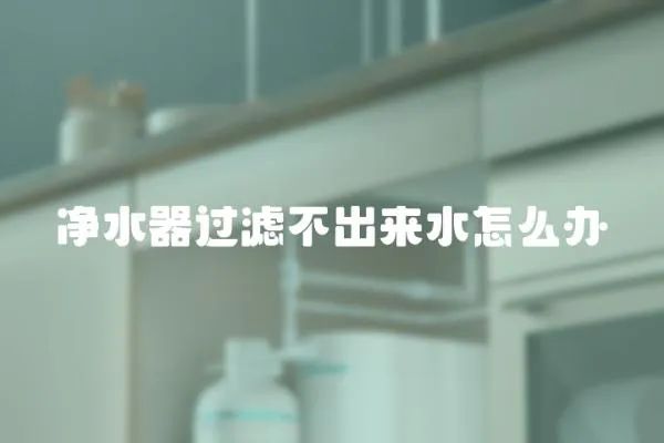 凈水器過濾不出來水怎么辦