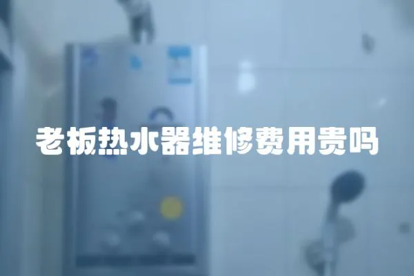 老板熱水器維修費用貴嗎