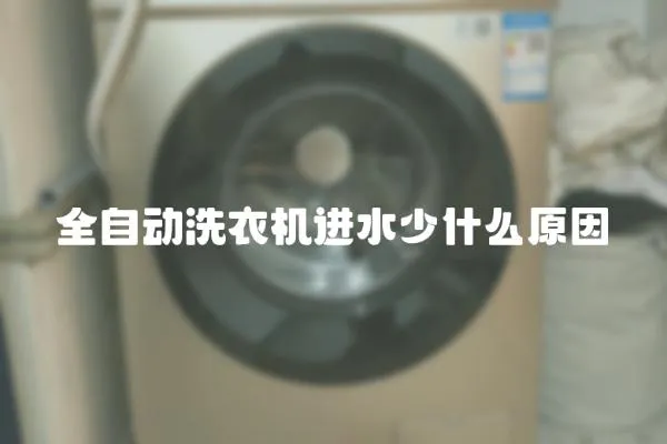 全自動洗衣機進水少什么原因