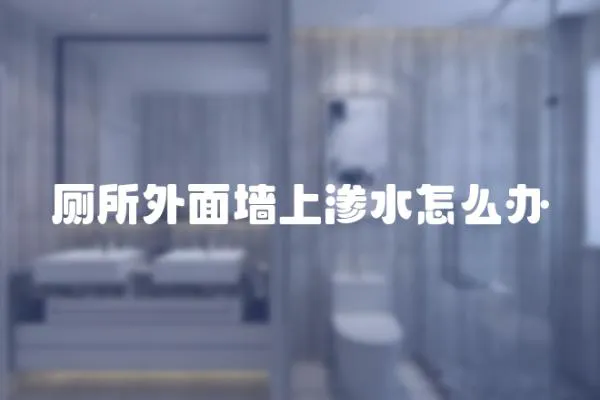 廁所外面墻上滲水怎么辦