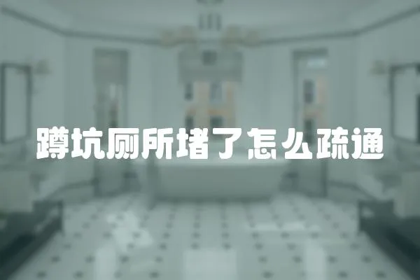 蹲坑廁所堵了怎么疏通