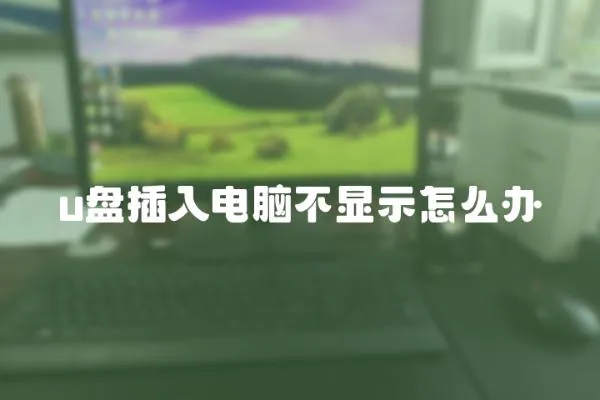u盤插入電腦不顯示怎么辦
