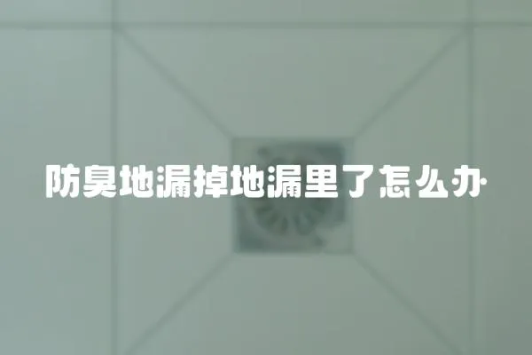 防臭地漏掉地漏里了怎么辦