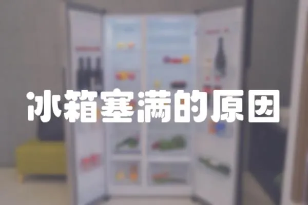冰箱塞滿的原因