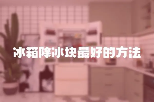 冰箱除冰塊最好的方法