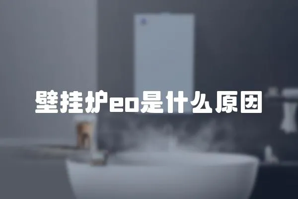 壁掛爐eo是什么原因