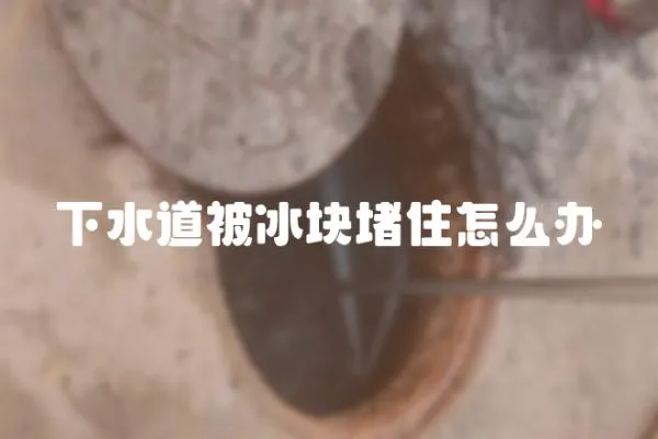 下水道被冰塊堵住怎么辦