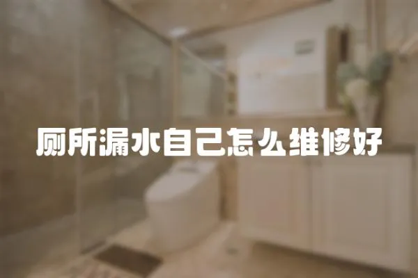 廁所漏水自己怎么維修好