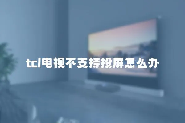 tcl電視不支持投屏怎么辦