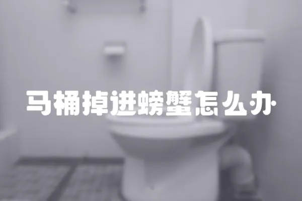 馬桶掉進(jìn)螃蟹怎么辦