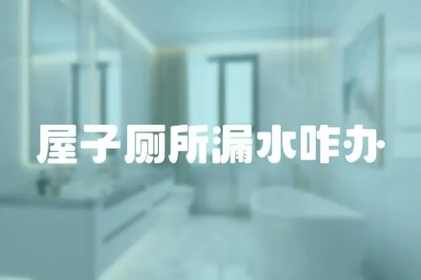 屋子廁所漏水咋辦