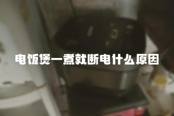 电饭煲一煮就断电什么原因