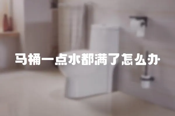 馬桶一點(diǎn)水都滿了怎么辦