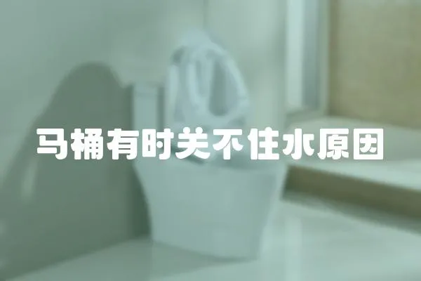 馬桶有時關不住水原因