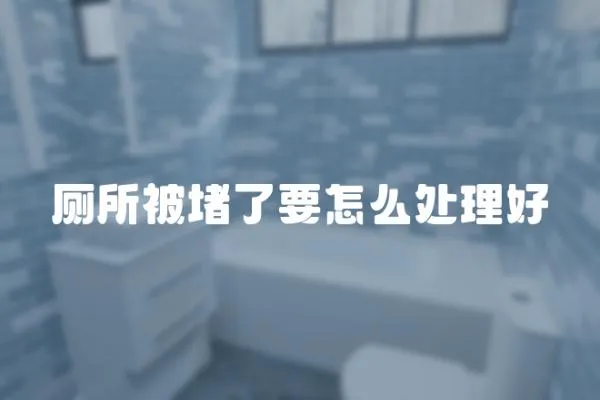 廁所被堵了要怎么處理好