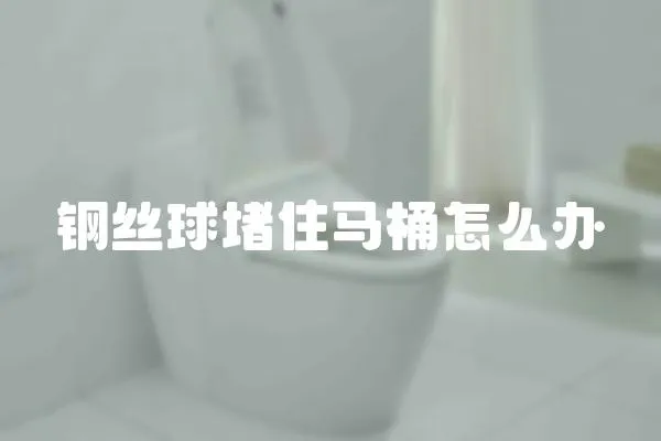 鋼絲球堵住馬桶怎么辦