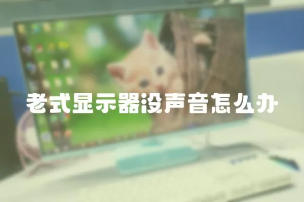老式顯示器沒聲音怎么辦