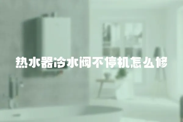 熱水器冷水閥不停機怎么修