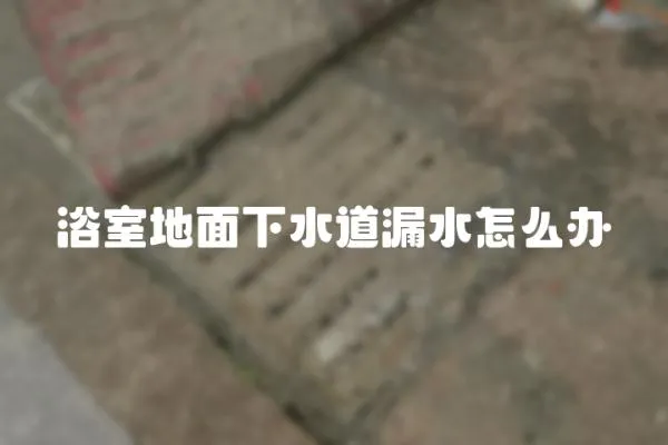 浴室地面下水道漏水怎么辦