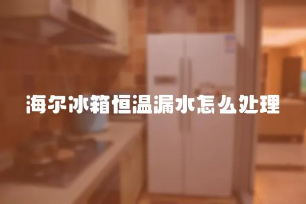 海爾冰箱恒溫漏水怎么處理