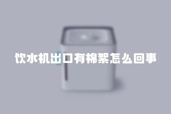 飲水機(jī)出口有棉絮怎么回事
