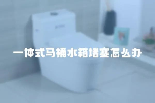 一體式馬桶水箱堵塞怎么辦