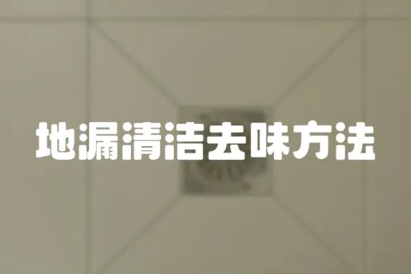 地漏清潔去味方法