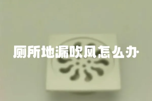 廁所地漏吹風(fēng)怎么辦