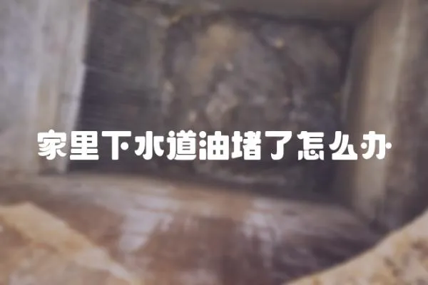家里下水道油堵了怎么辦
