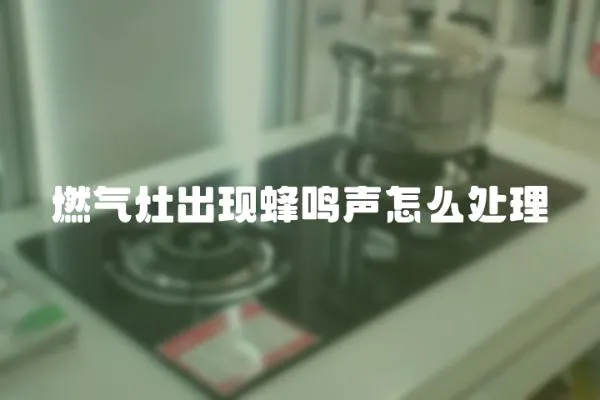 燃?xì)庠畛霈F(xiàn)蜂鳴聲怎么處理