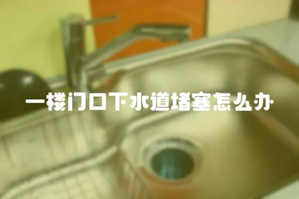 一樓門口下水道堵塞怎么辦