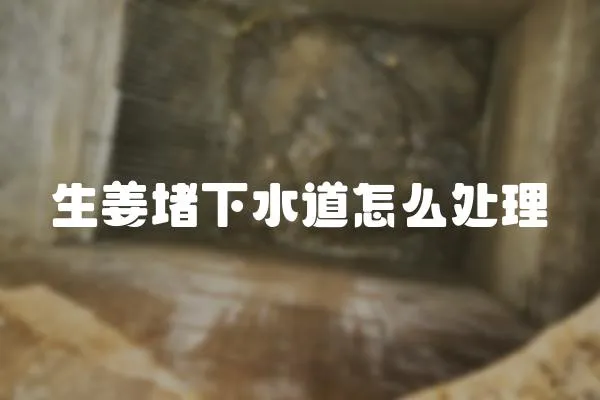 生姜堵下水道怎么處理