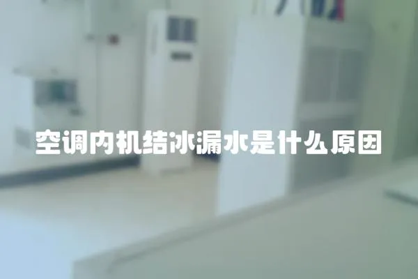 空調(diào)內(nèi)機(jī)結(jié)冰漏水是什么原因