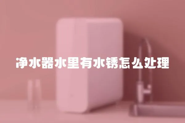 凈水器水里有水銹怎么處理