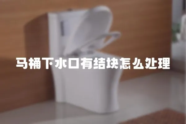 馬桶下水口有結塊怎么處理
