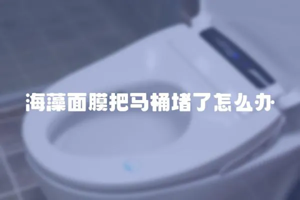 海藻面膜把馬桶堵了怎么辦