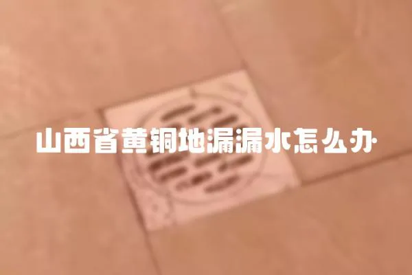 山西省黃銅地漏漏水怎么辦