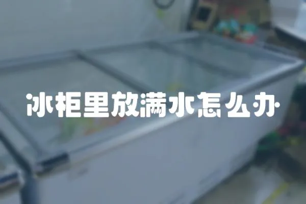 冰柜里放滿水怎么辦