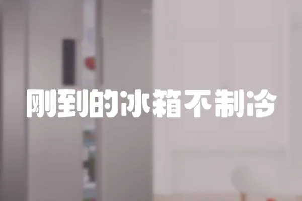 剛到的冰箱不制冷