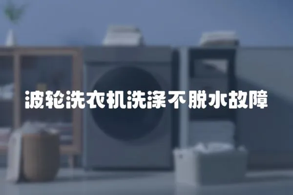 波輪洗衣機洗滌不脫水故障