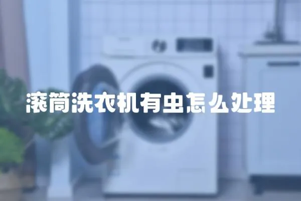 滾筒洗衣機有蟲怎么處理