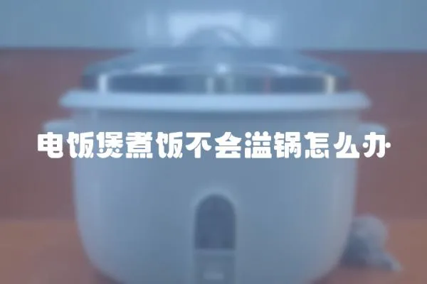 電飯煲煮飯不會溢鍋怎么辦