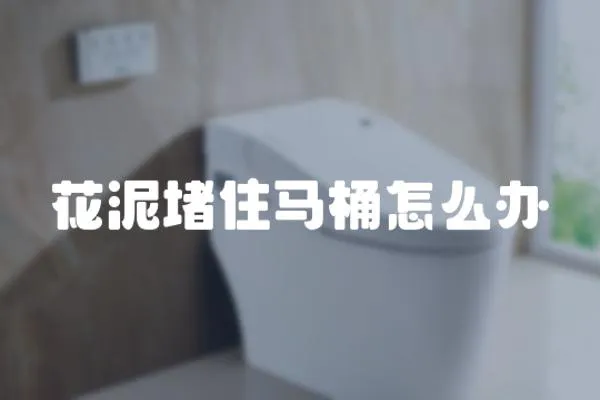 花泥堵住馬桶怎么辦