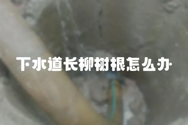 下水道長(zhǎng)柳樹(shù)根怎么辦