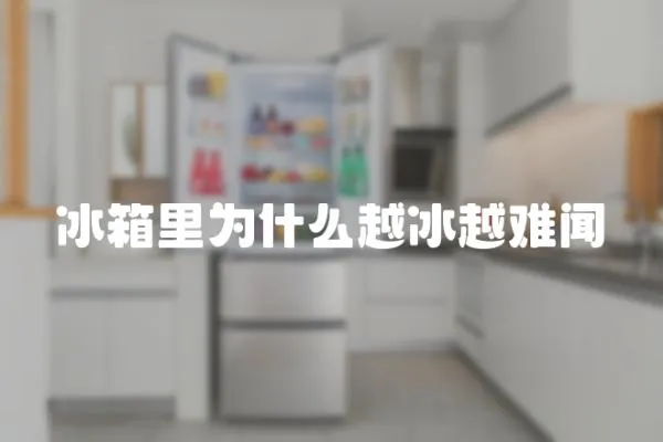 冰箱里為什么越冰越難聞