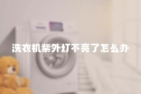 洗衣機紫外燈不亮了怎么辦